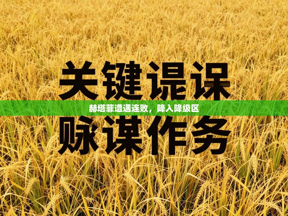 赫塔菲遭遇连败，降入降级区  第2张