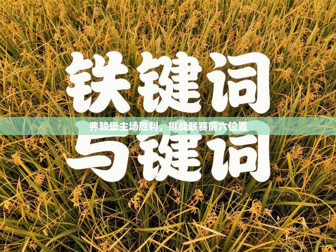 弗赖堡主场胜利，挑战联赛前六位置  第1张