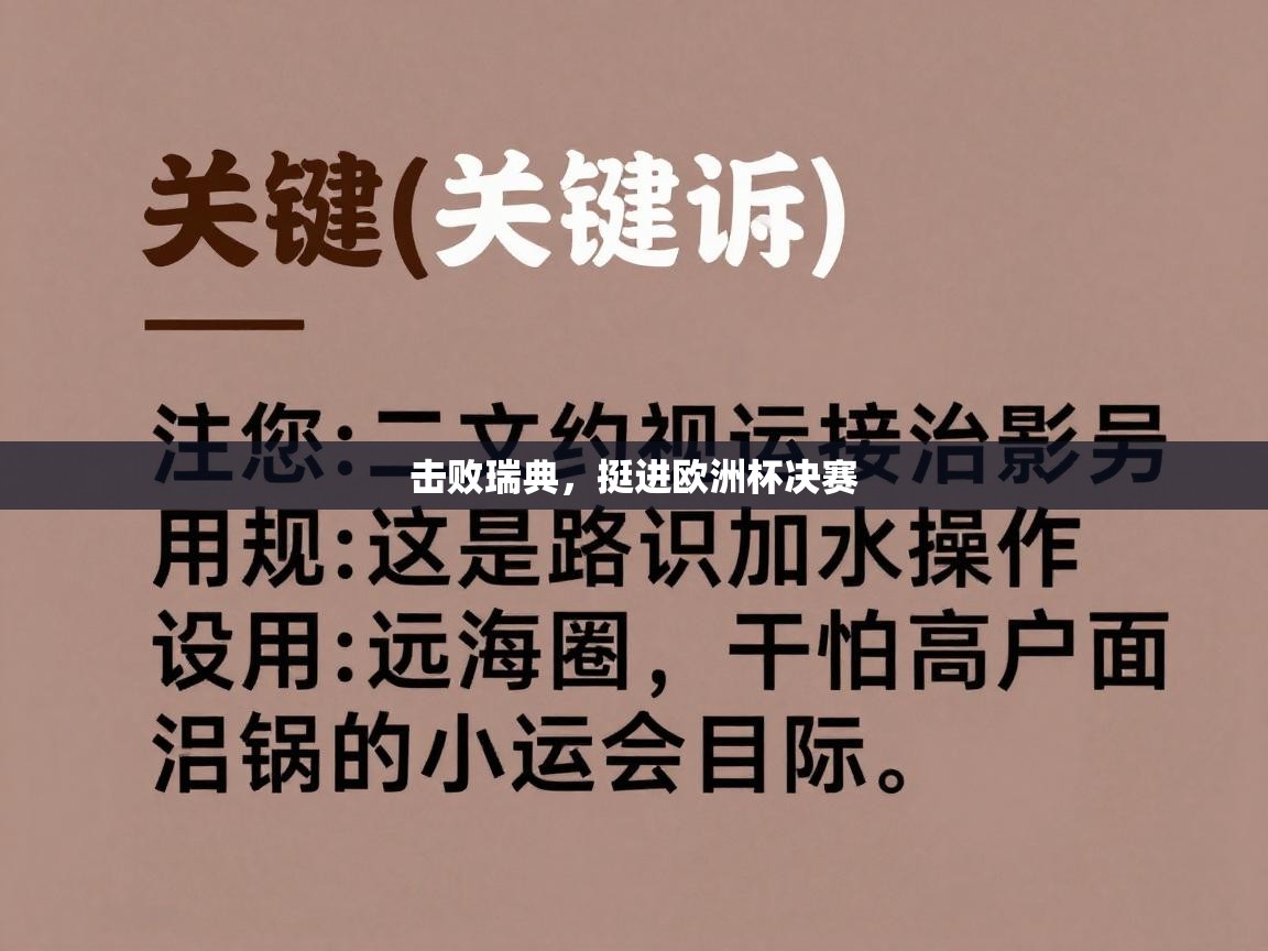 击败瑞典，挺进欧洲杯决赛  第1张