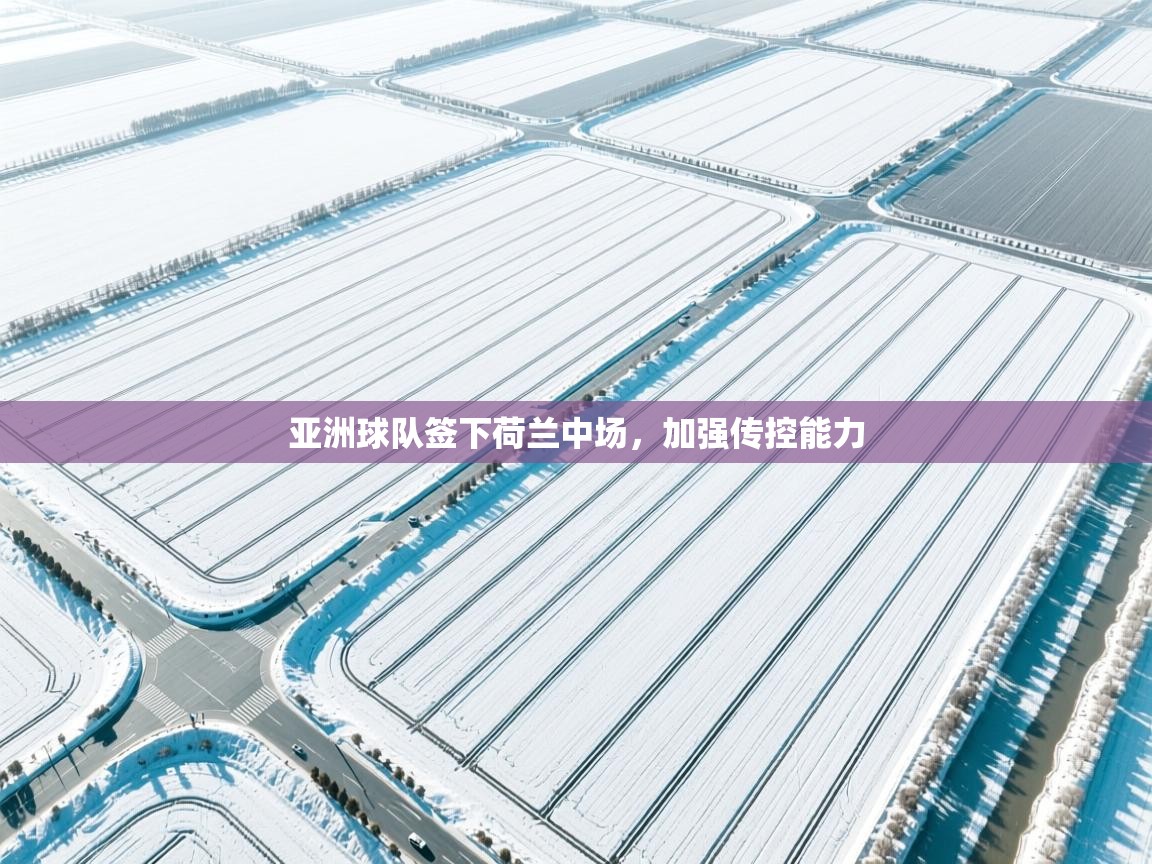 亚洲球队签下荷兰中场，加强传控能力  第2张