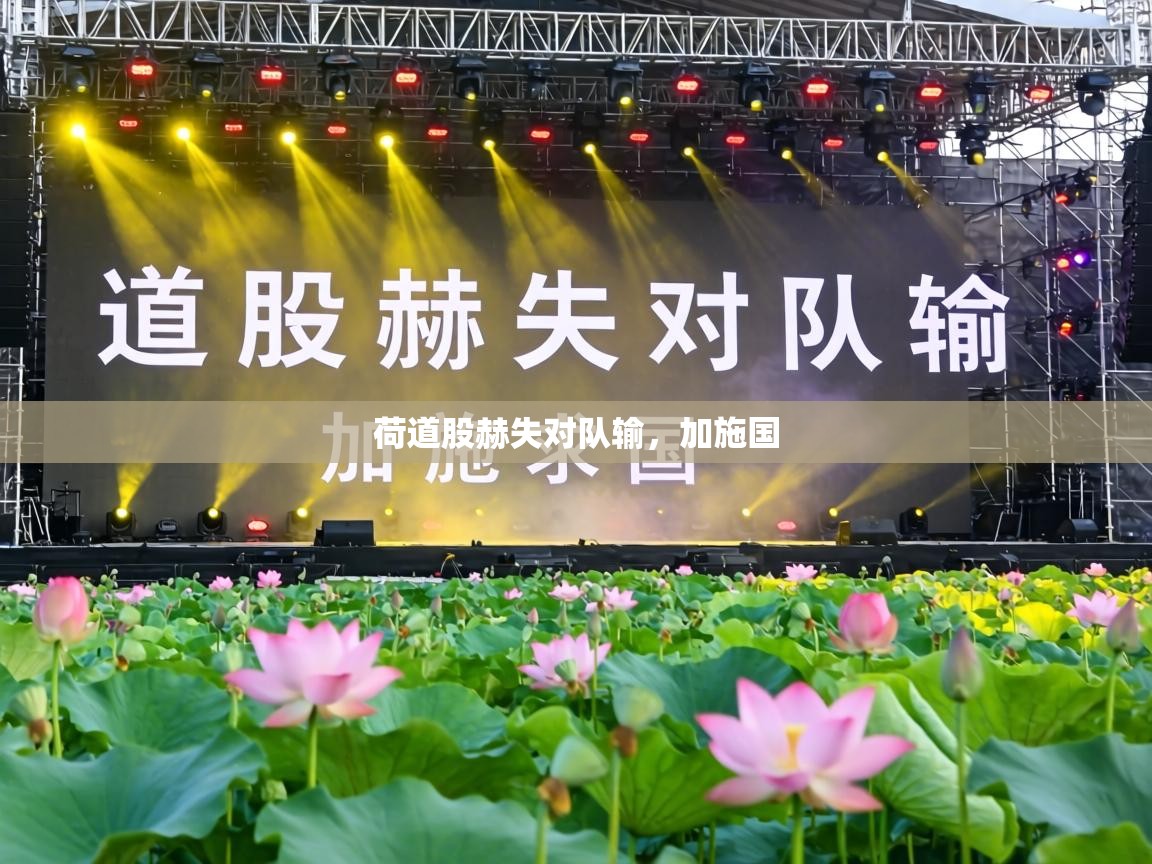 荷道股赫失对队输，加施国  第1张